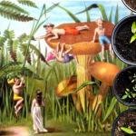Craft Event: Miniature Gardens