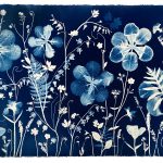 Cyanotype Crafts