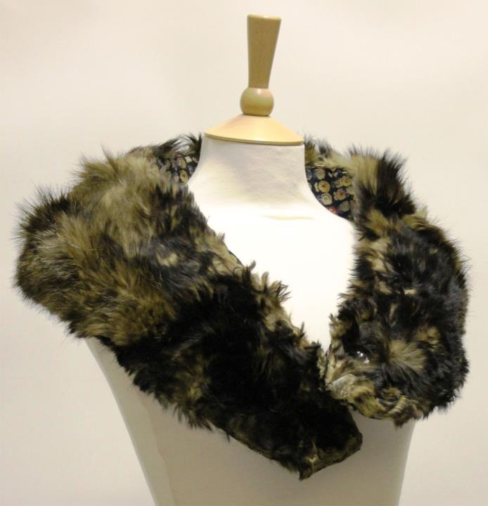 Spotlight Talk: Fur, Fin and Feather