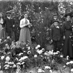 Spotlight Talk: Out of the Glasshouses